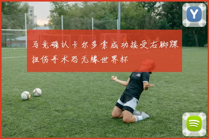 马竞确认卡尔多索成功接受右脚踝扭伤手术恐无缘世界杯